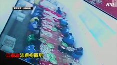 【動画ニュース】中国の拘置所で生産したむきニンニク　海外に輸出