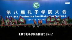 【動画ニュース】欧州評議会議員会議の前議長「孔子学院は共産党政権の諜報機関」