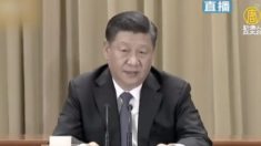 【動画ニュース】習主席談話「中国人は中国人を叩かない」が「武力行使は放棄しない」