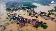 【動画ニュース】中国で深刻な水害 被災地は物資届かず食料不足