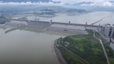【動画ニュース】中国当局「三峡ダムは安全」も三峡景観区は営業の一時停止を発表