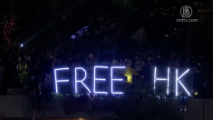 【動画ニュース】香港人権法案 米下院も可決 大統領の元へ