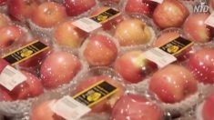 【動画ニュース】豊作貧乏に泣く果物農家　果物価格高騰に怒る都市住民「政府の徴税が原因」