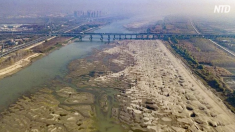 【動画ニュース】長江の川底が露出　水不足は人災か（上）