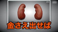 中共軍医が法輪功学習者からの臓器狩りを認める【禁聞】