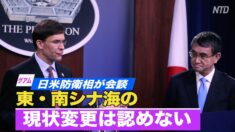 日米防衛相が会談 「東・南シナ海の現状変更は認めない」
