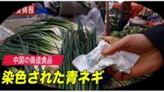 中国の偽造食品 今度は緑に染色された青ネギ