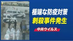 中共の極端な防疫対策で刺殺事件発生 瀋陽市「スーパースプレッダー」と非難された女性が死亡