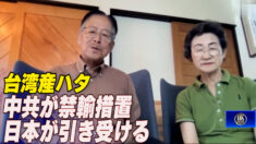中共が台湾産ハタを輸入禁止に 林養魚場会長「怒りを感じる」
