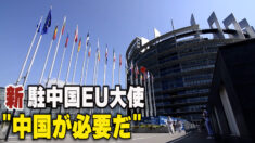 「世界の課題に対処するためには中国が必要」＝新駐中国EU大使