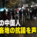 海外の中国人 中国各地の抗議を声援
