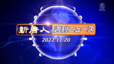 NTD週刊ニュース 2022.11.20